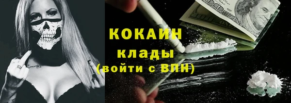 гидра Зеленодольск