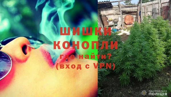 шишки Зеленокумск