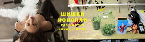 гидра Зеленодольск