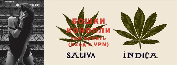 гидра Зеленодольск