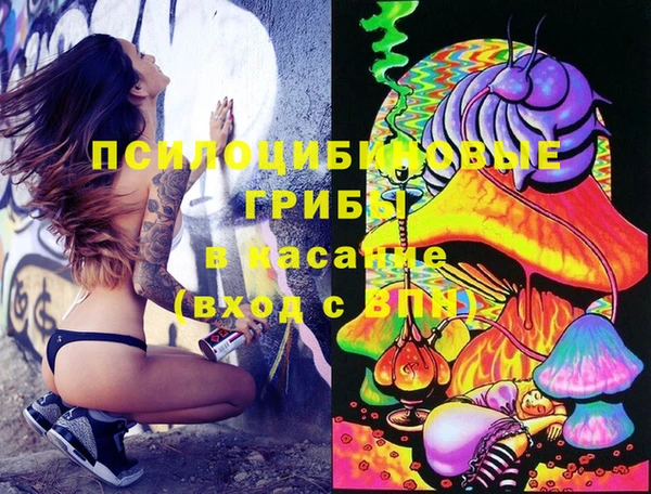 шишки Зеленокумск