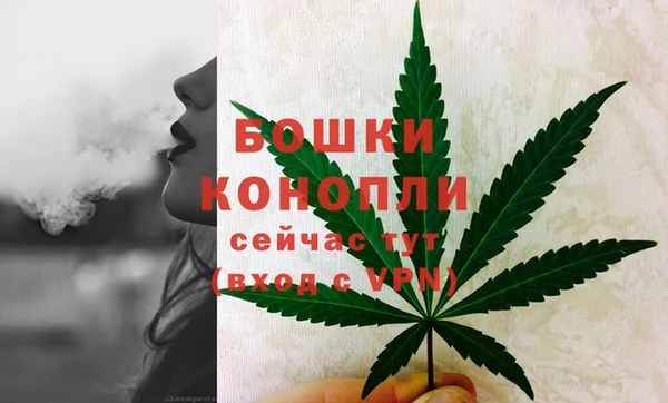 гидра Зеленодольск