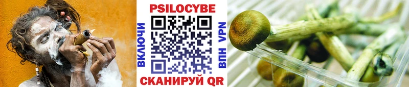 Псилоцибиновые грибы мухоморы  Саянск 